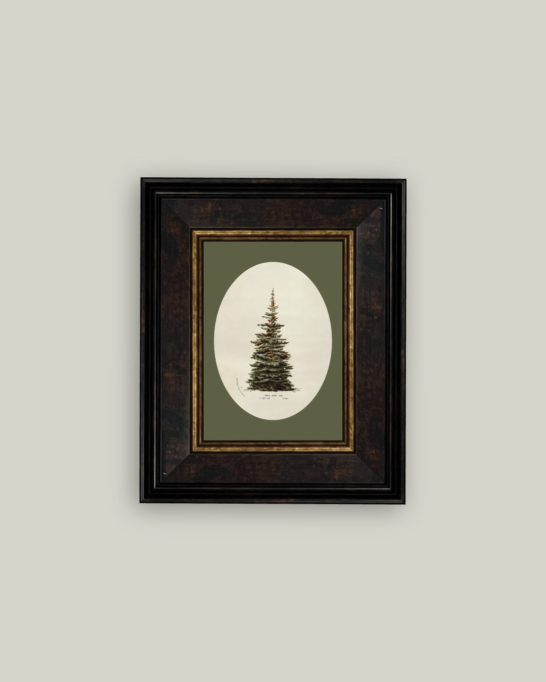 Oval Matte Tree