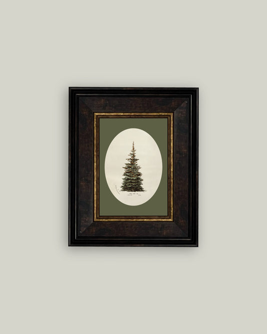 Oval Matte Tree