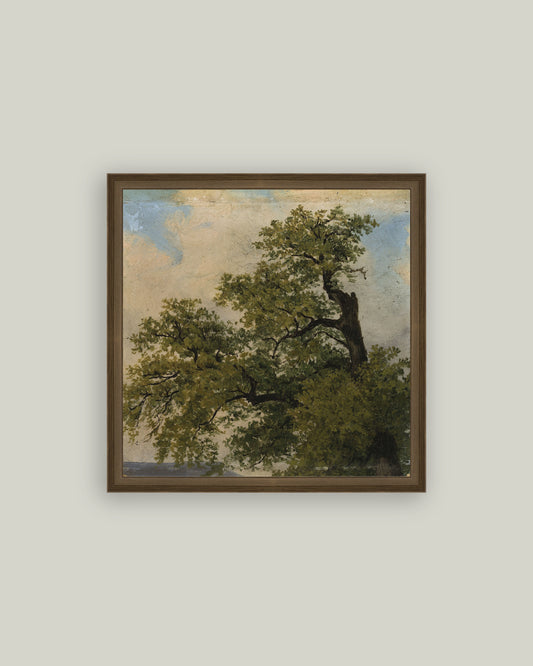 Painted Trees