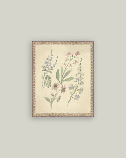 Pink and Blue Wildflowers