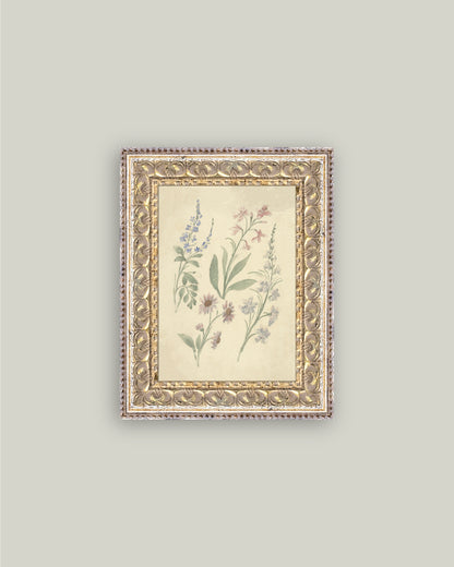 Pink and Blue Wildflowers