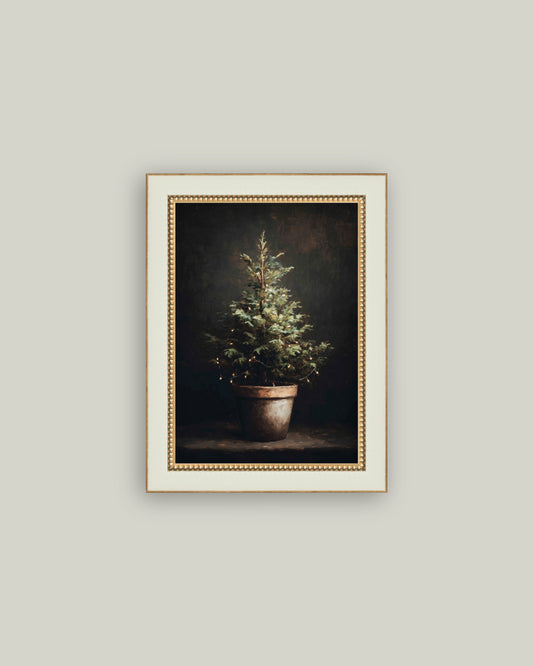 Potted Christmas Tree