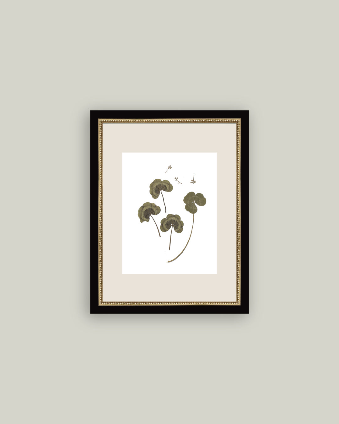 Pressed Clovers