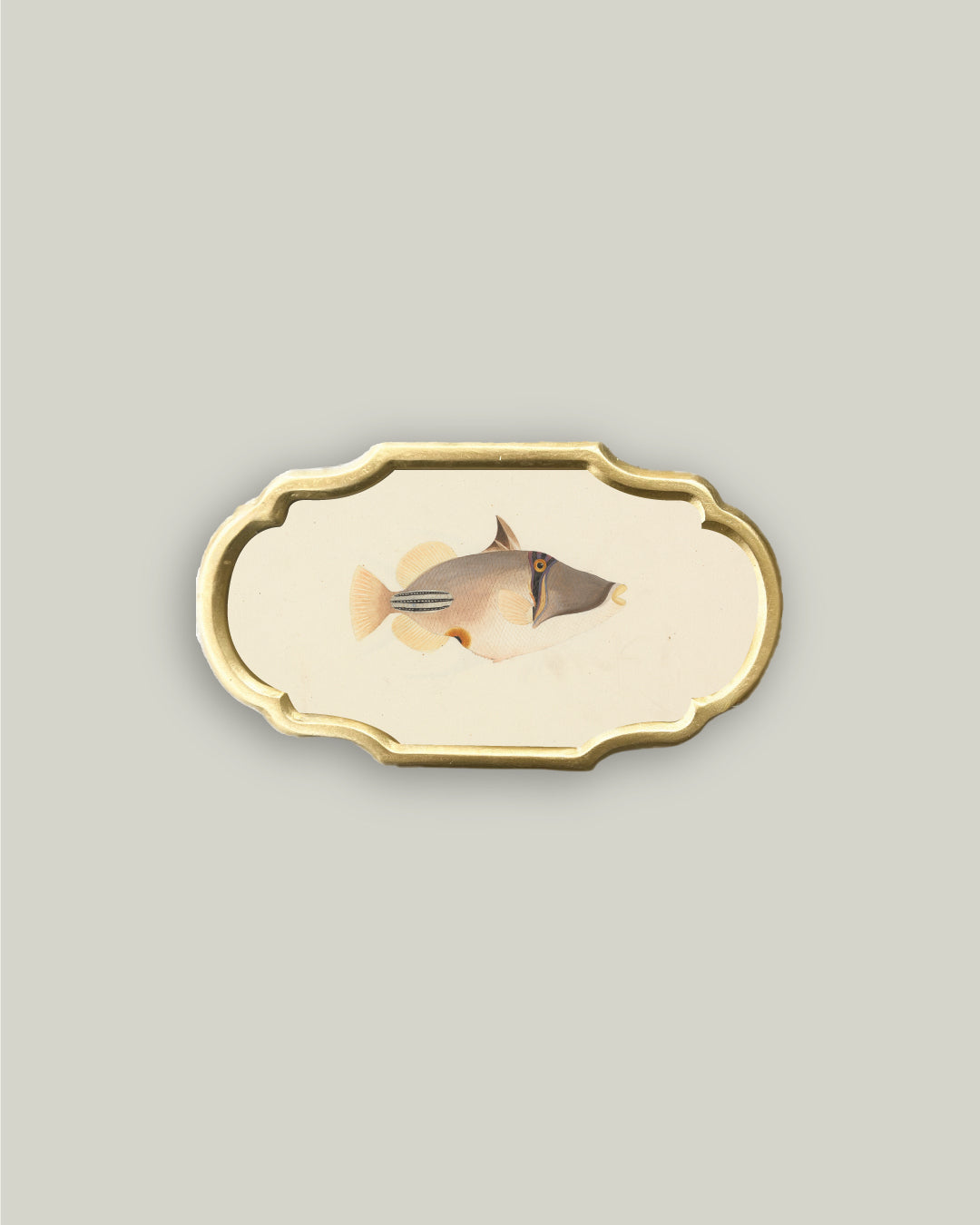 Priacanthus in Ornate Frame