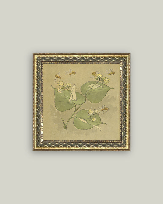The Princess' Flower