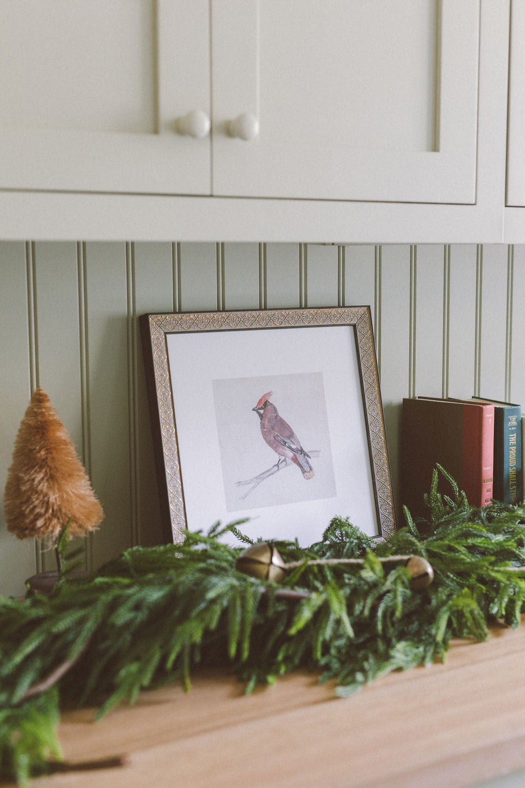 Perched Cardinal