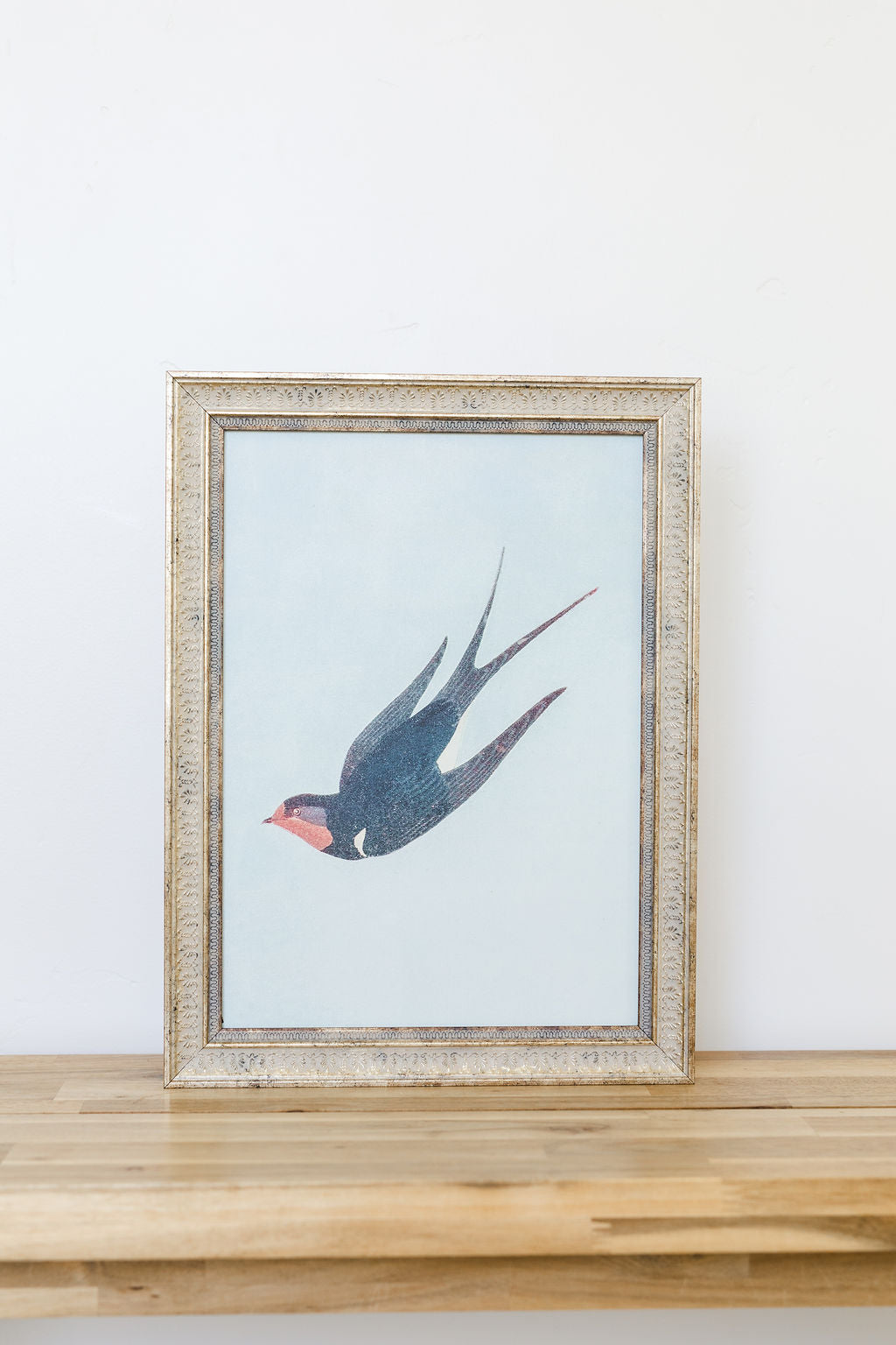 Swallow Boraston