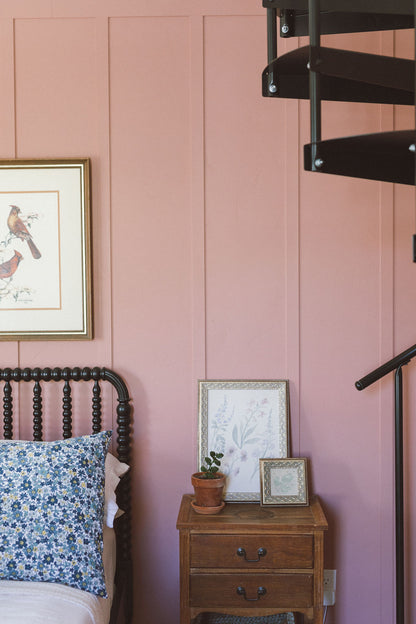 Pink and Blue Wildflowers