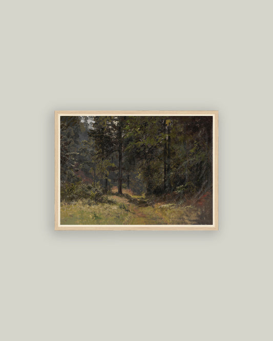 The Road in the Forest
