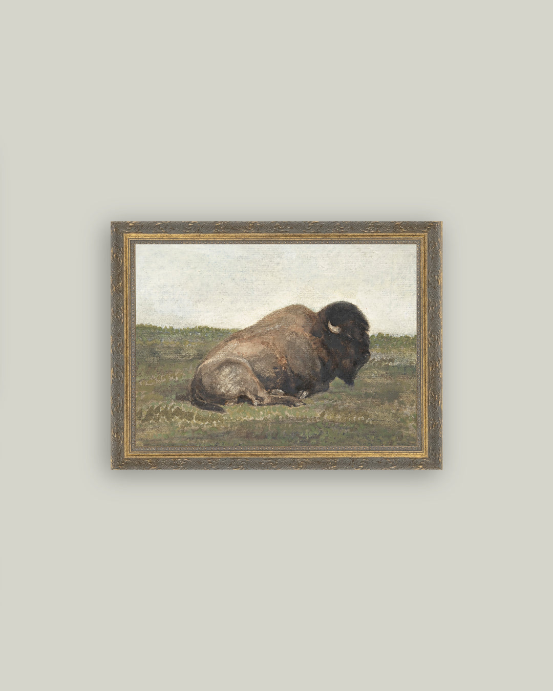 Resting Bison