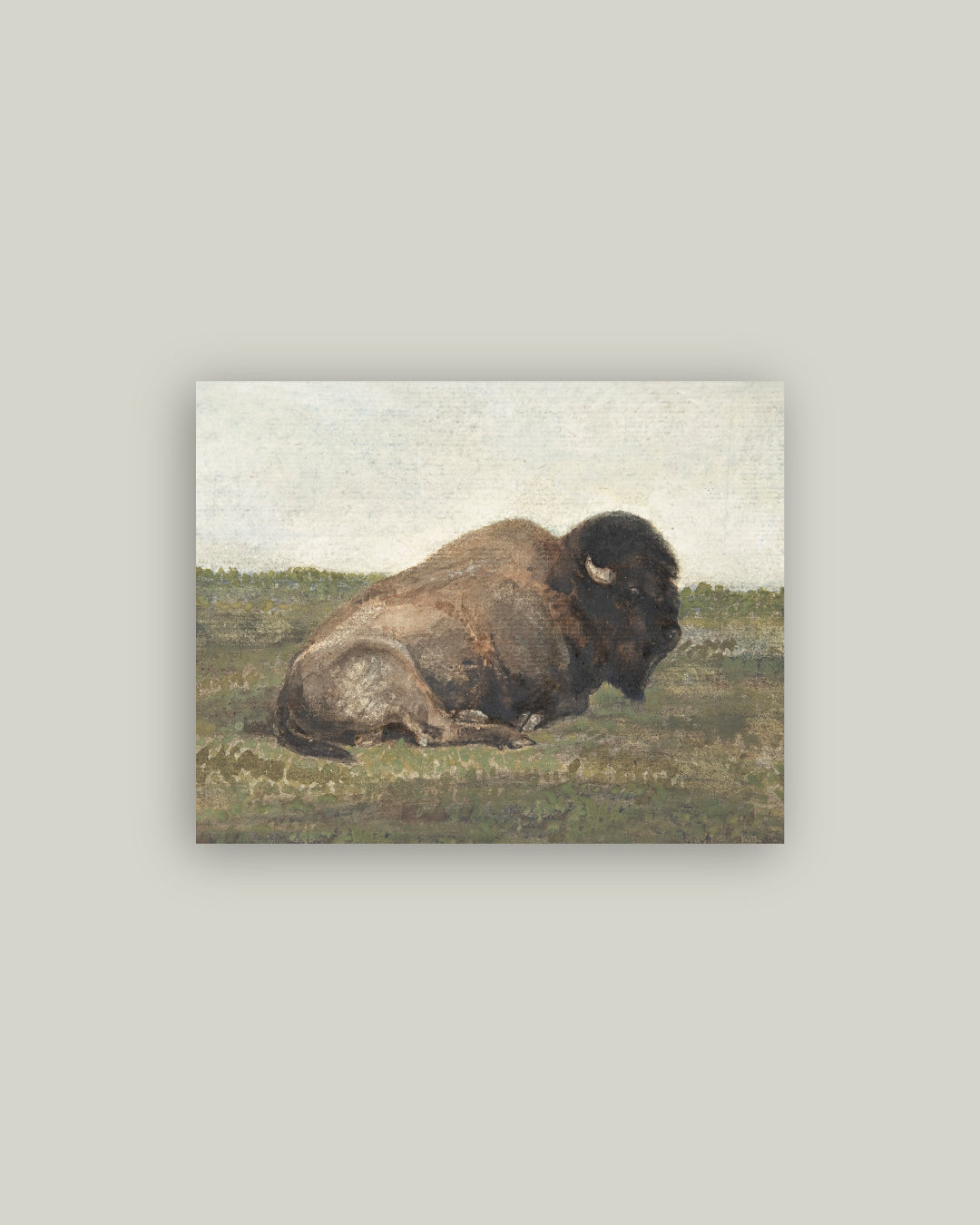 Resting Bison Artist Board