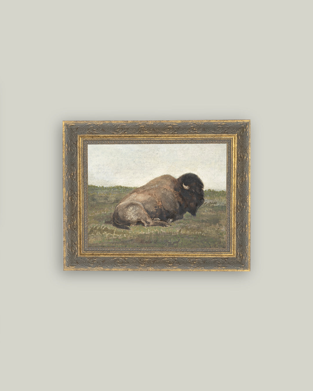 Resting Bison