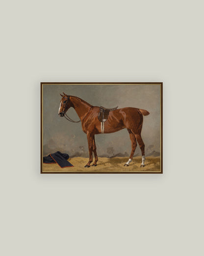 Saddled Brown Horse