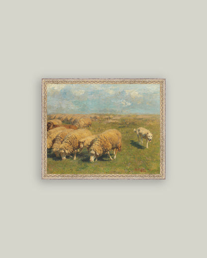 Sheep with Sheep Dog