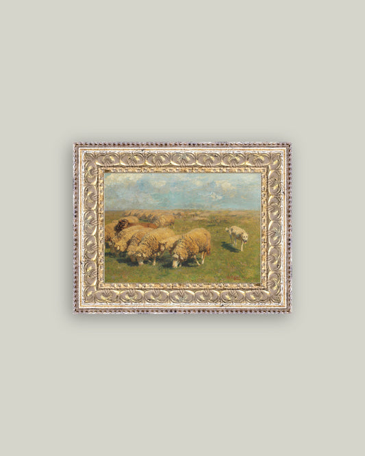 Sheep with Sheep Dog