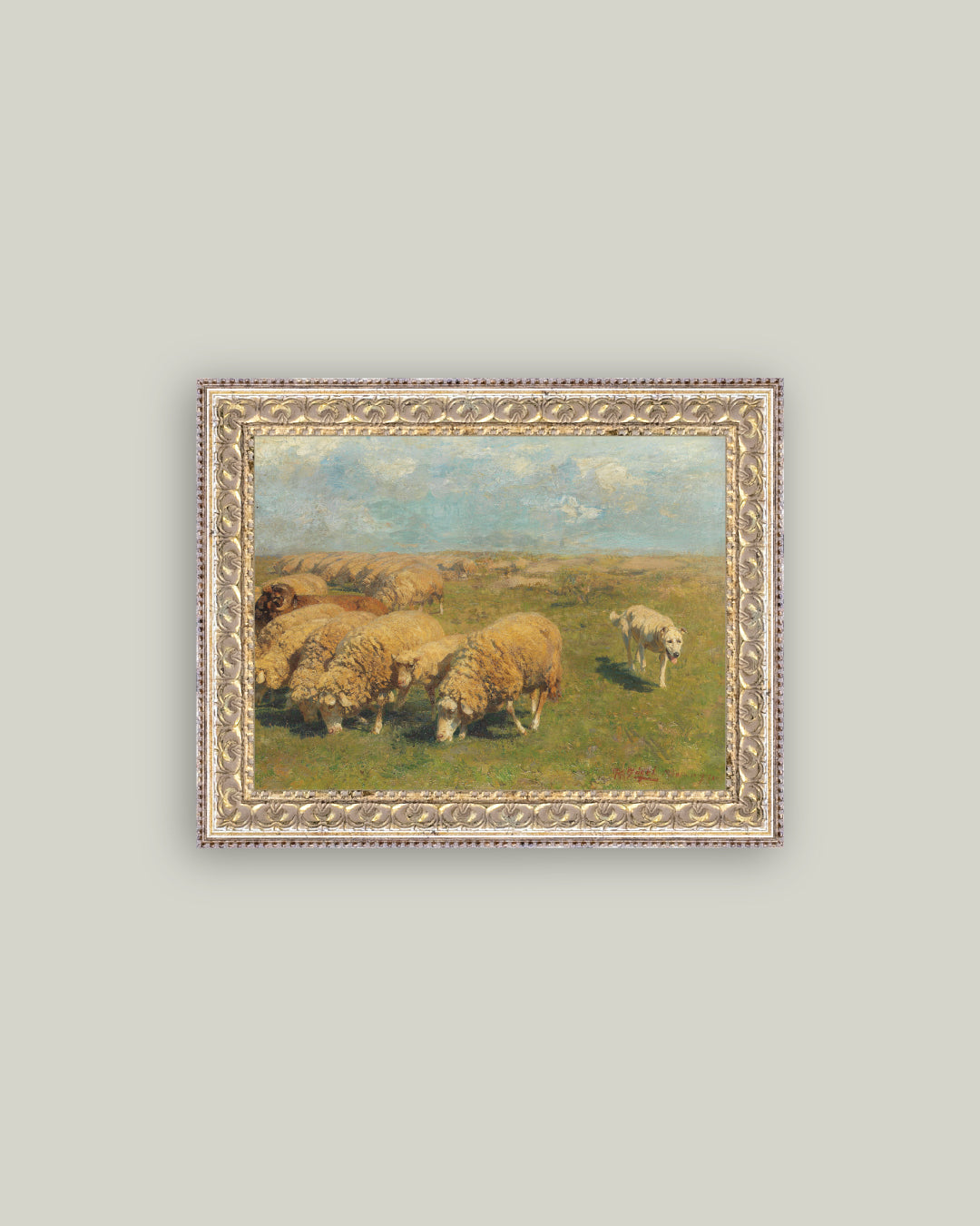 Sheep with Sheep Dog
