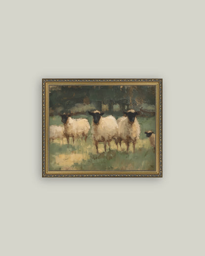 Sheep Pasture