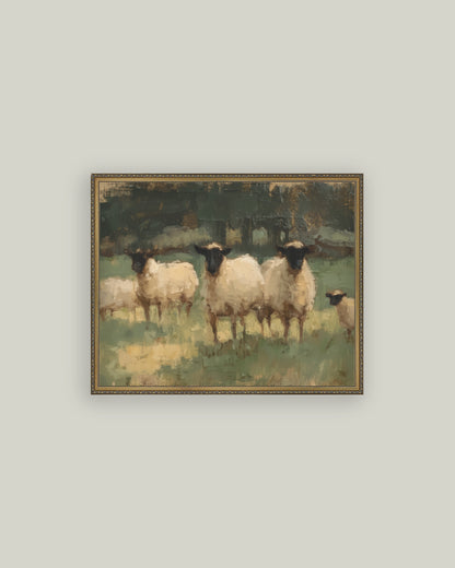 Sheep Pasture