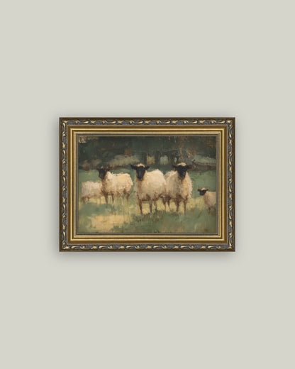 Sheep Pasture