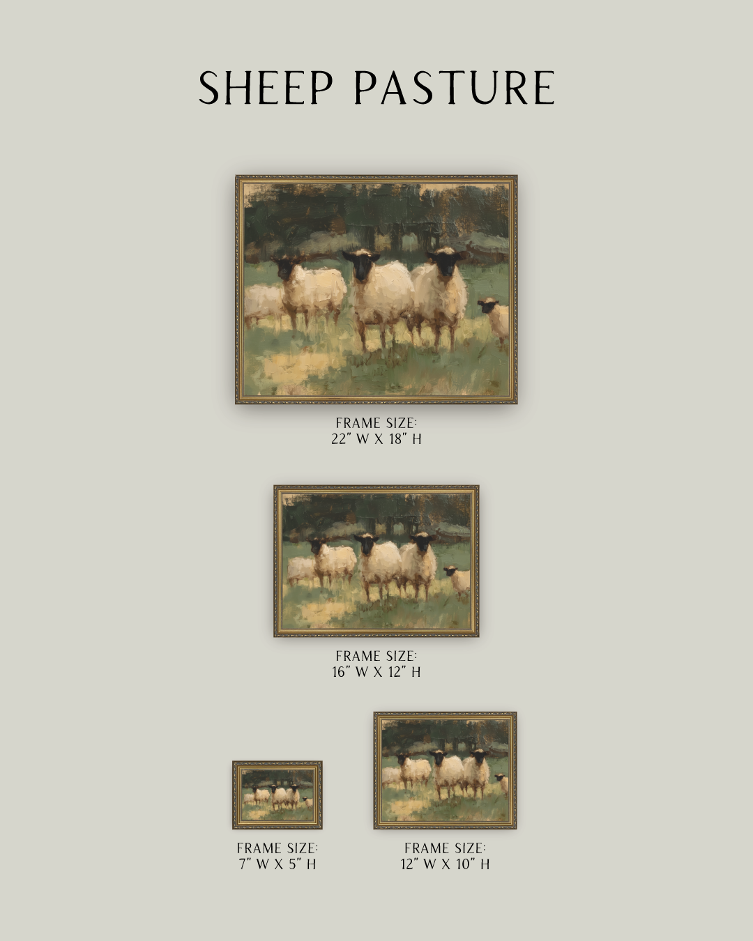 Sheep Pasture