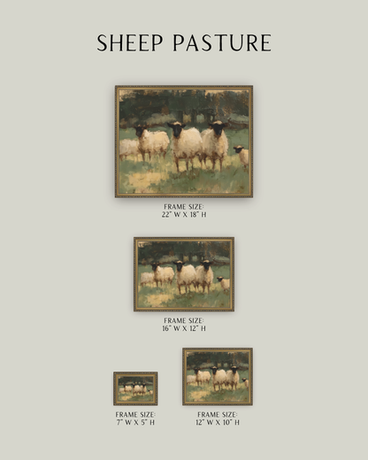 Sheep Pasture