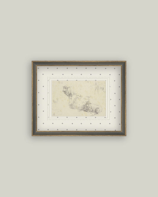 Sketch of Lambs