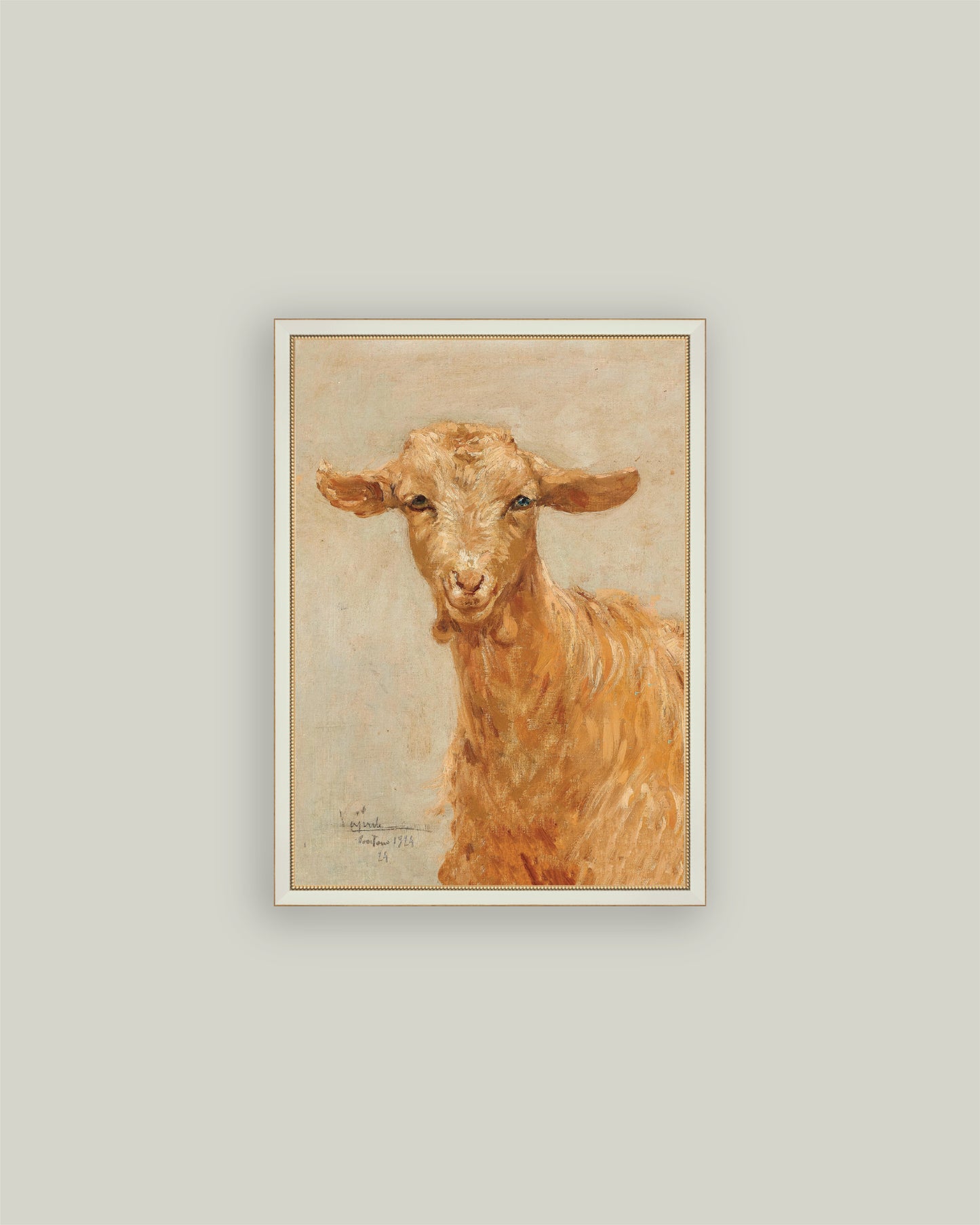 Spring Goat