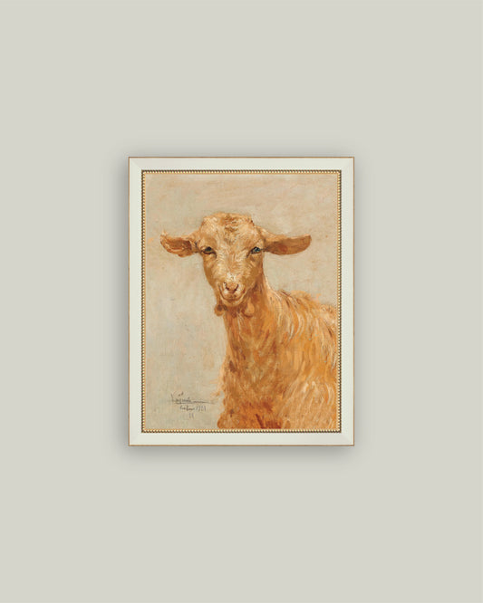 Spring Goat