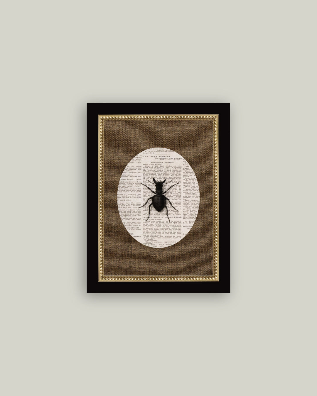 Stag Beetle