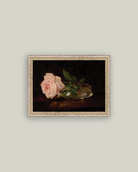 Still Life with Rose