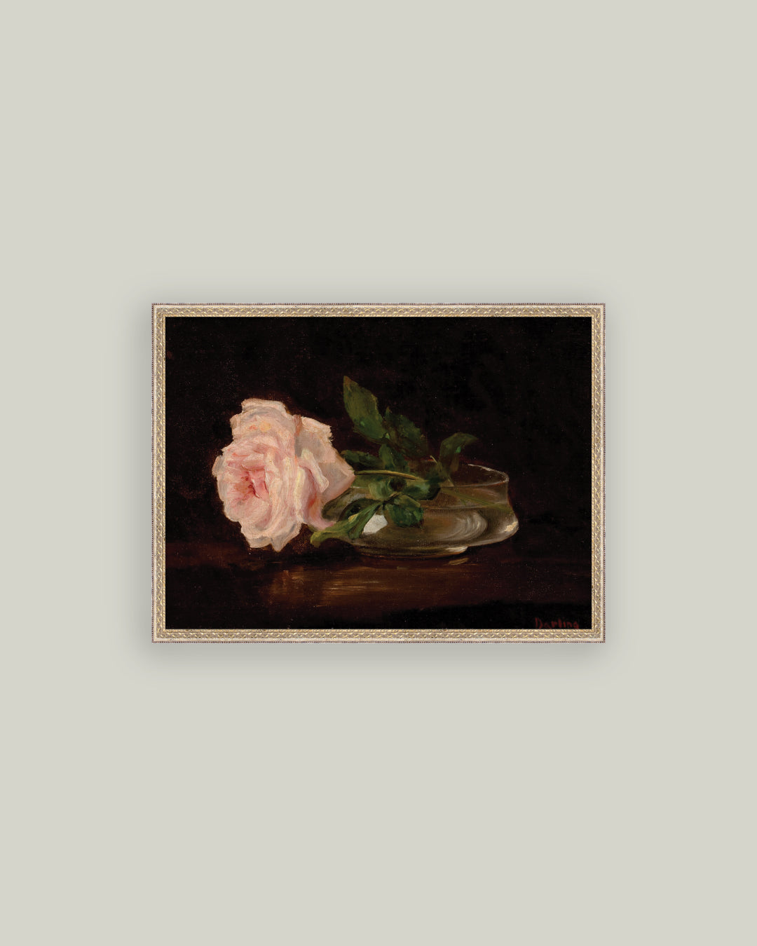 Still Life with Rose