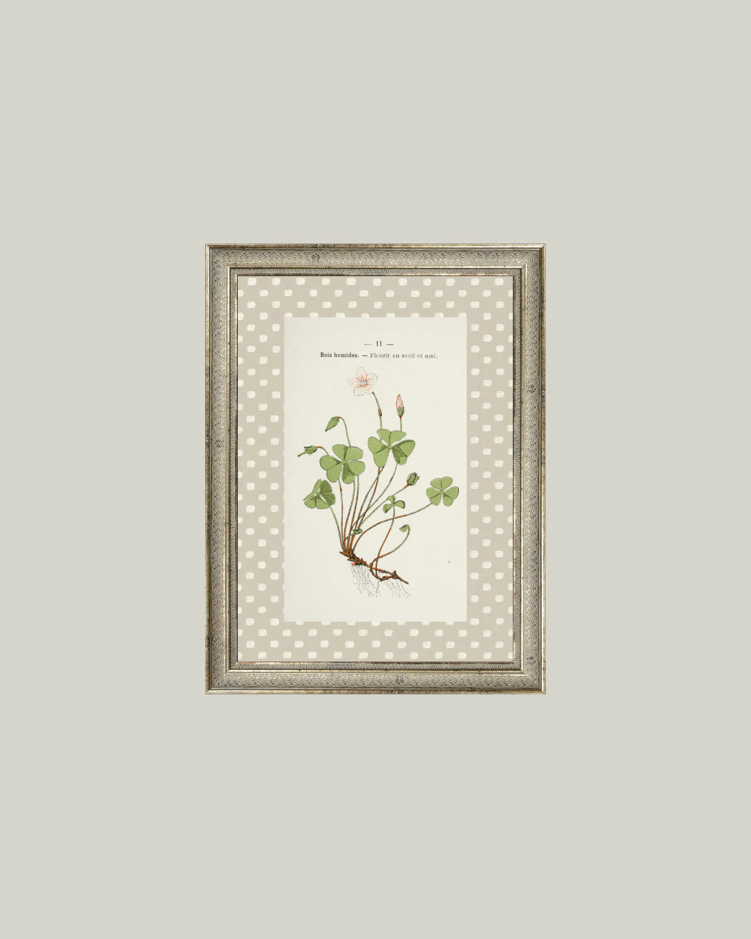 Study Of A Clover