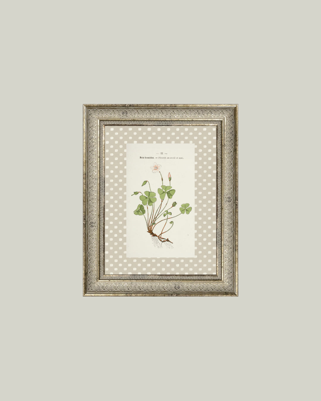 Study Of A Clover