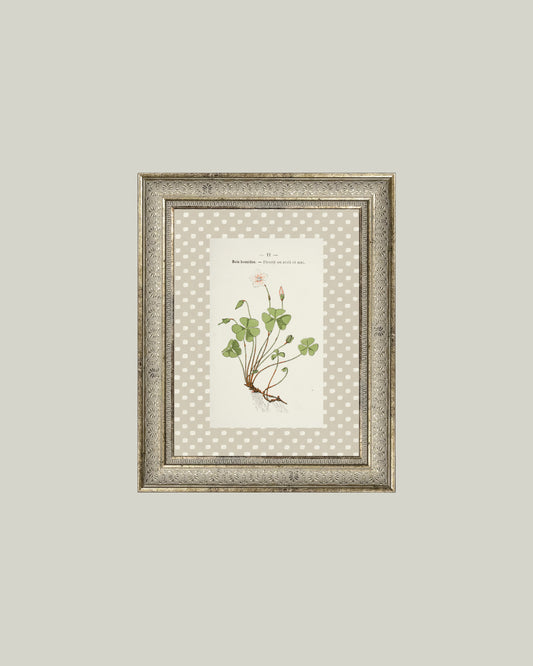 Study Of A Clover