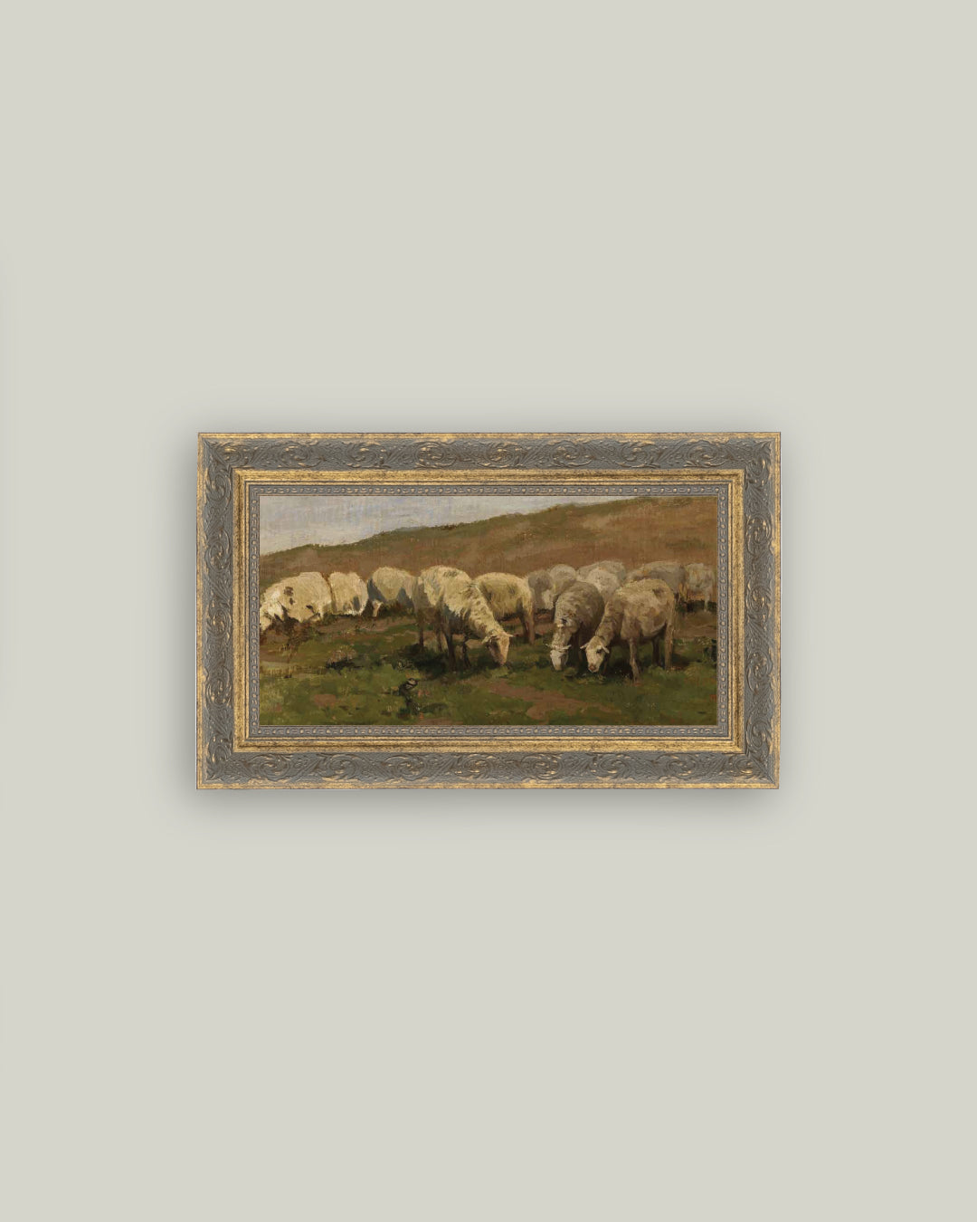 Sheep Landscape