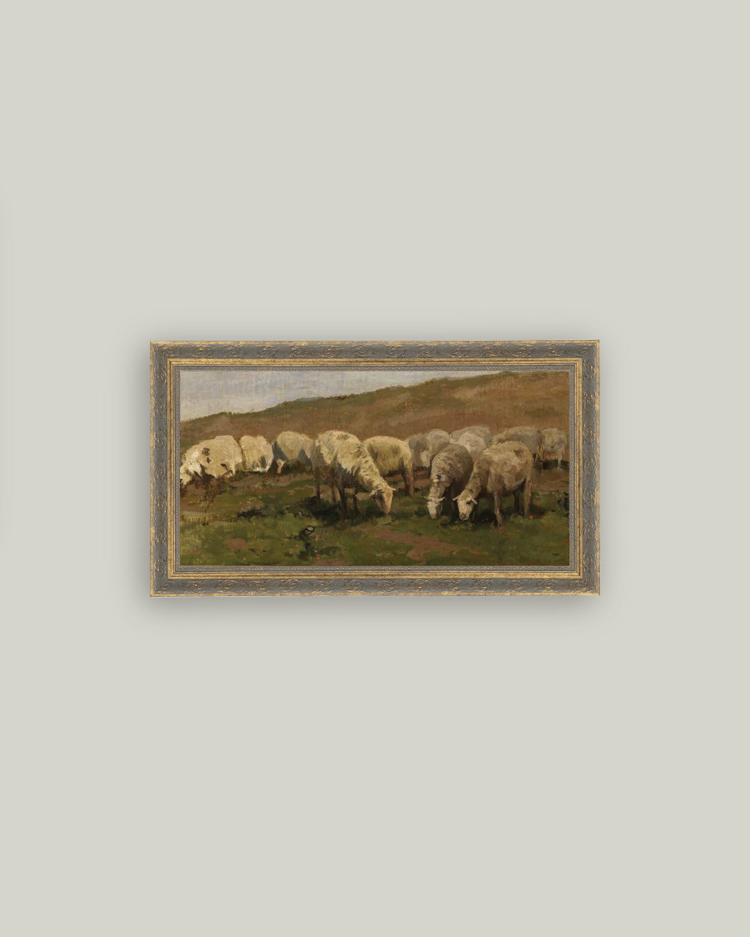 Sheep Landscape