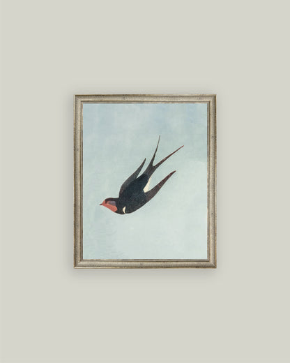 Swallow Boraston