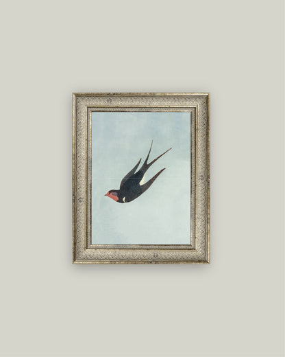 Swallow Boraston