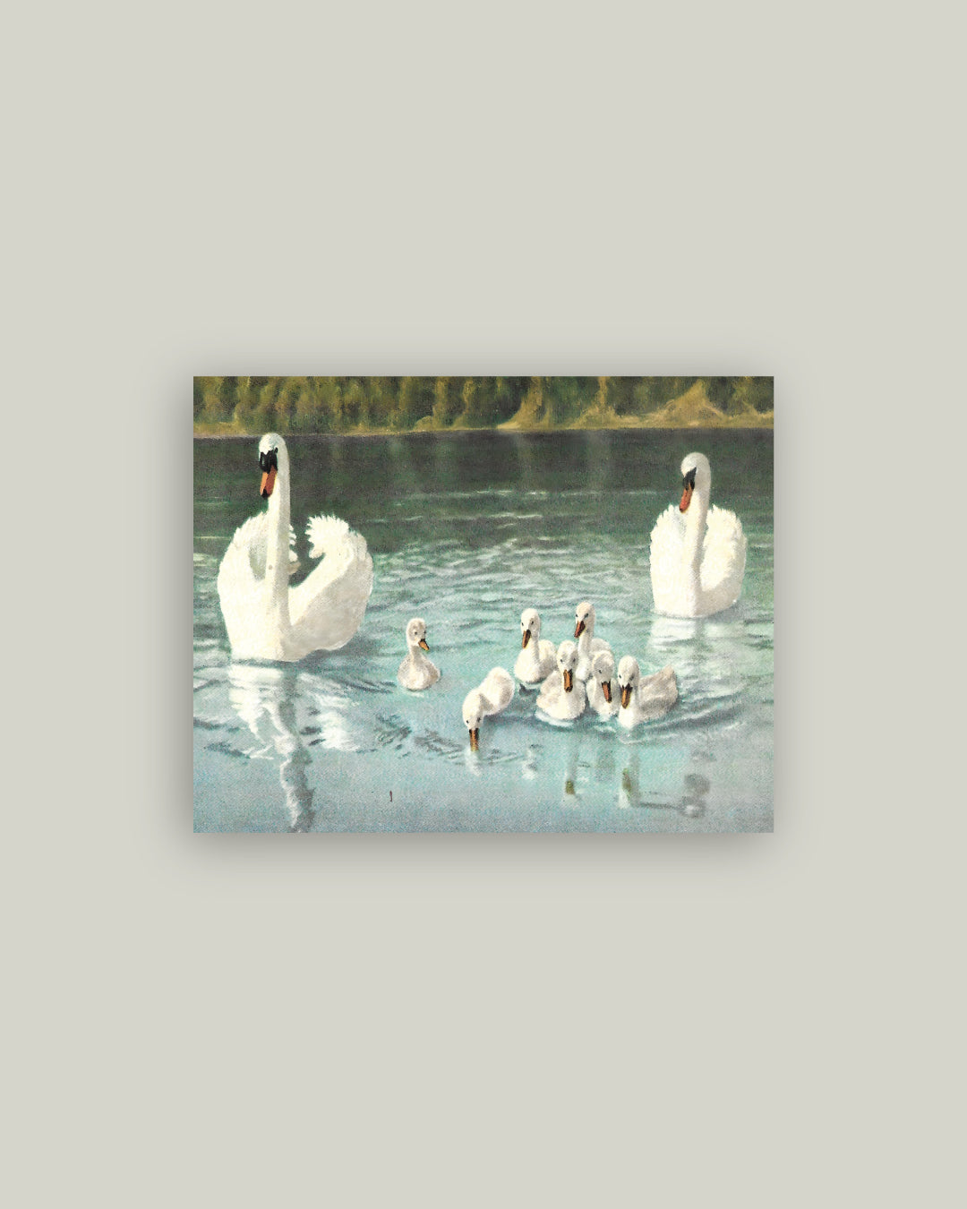 Swan Family Artist Board – Petal Lane Home