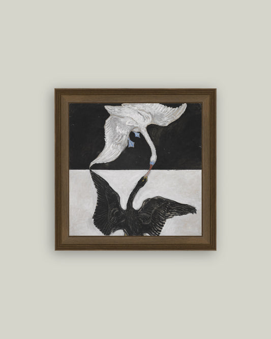 The Swan