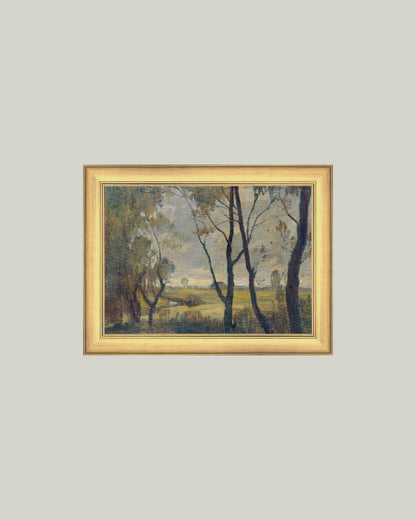 The Woods