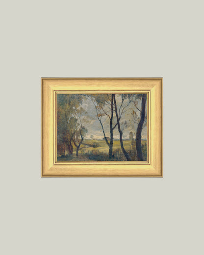 The Woods