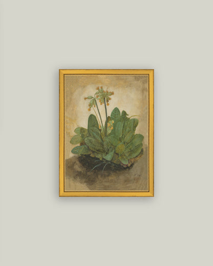 Tuft of Cowslips