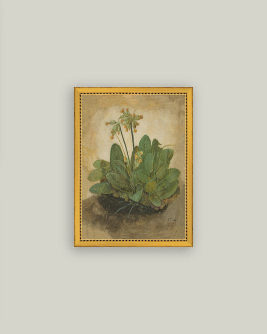 Tuft of Cowslips