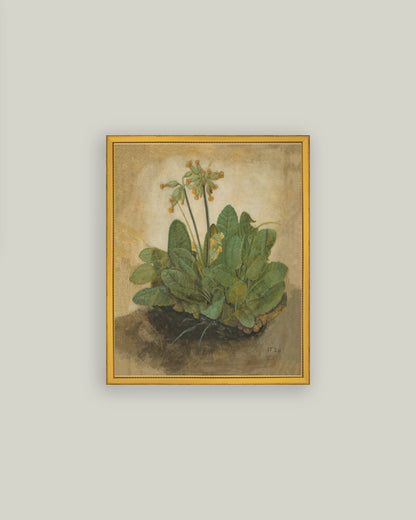 Tuft of Cowslips