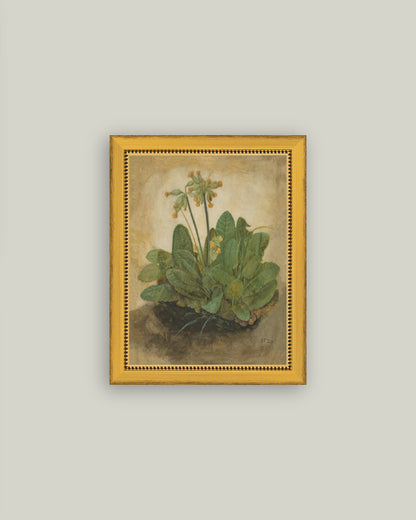 Tuft of Cowslips
