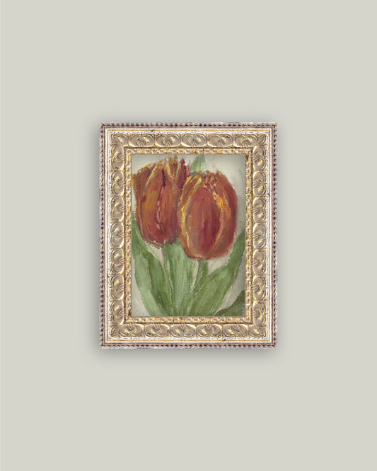 Tulip Buds