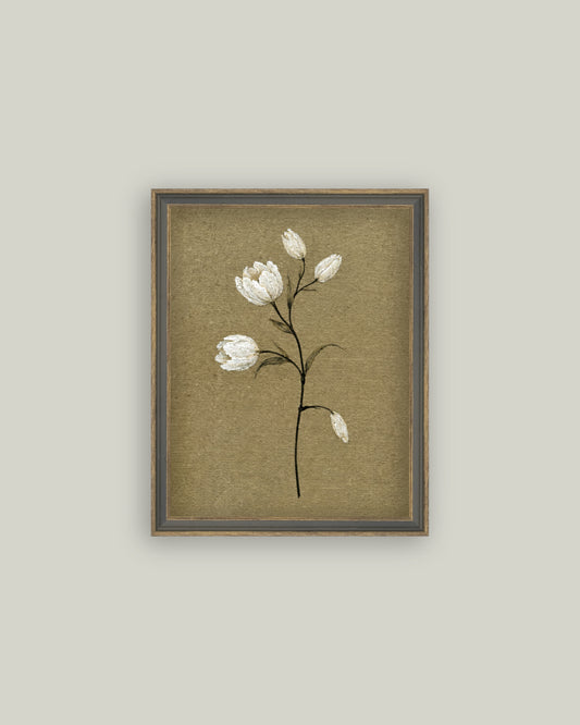 Tulip Stem