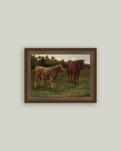 Two Cows Grazing