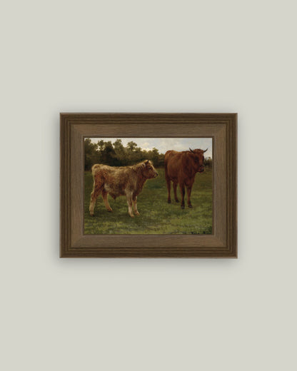 Two Cows Grazing